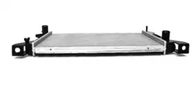 Радиатор, охлаждение двигателя BSG купить